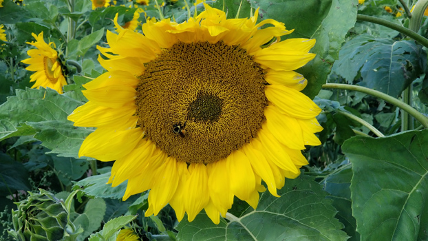 20190826 142103 (002) 350