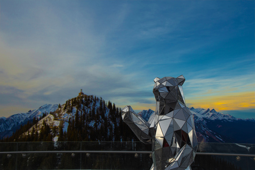 Banff Bear 350